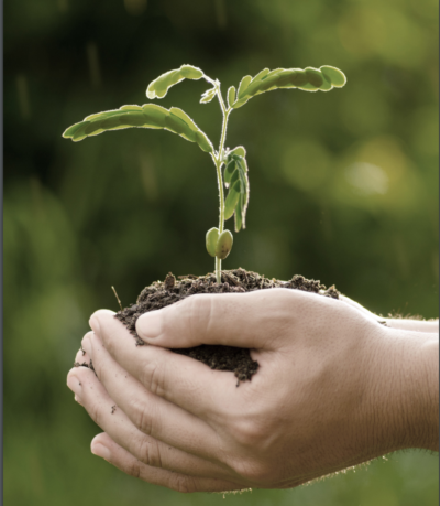 Earth Day